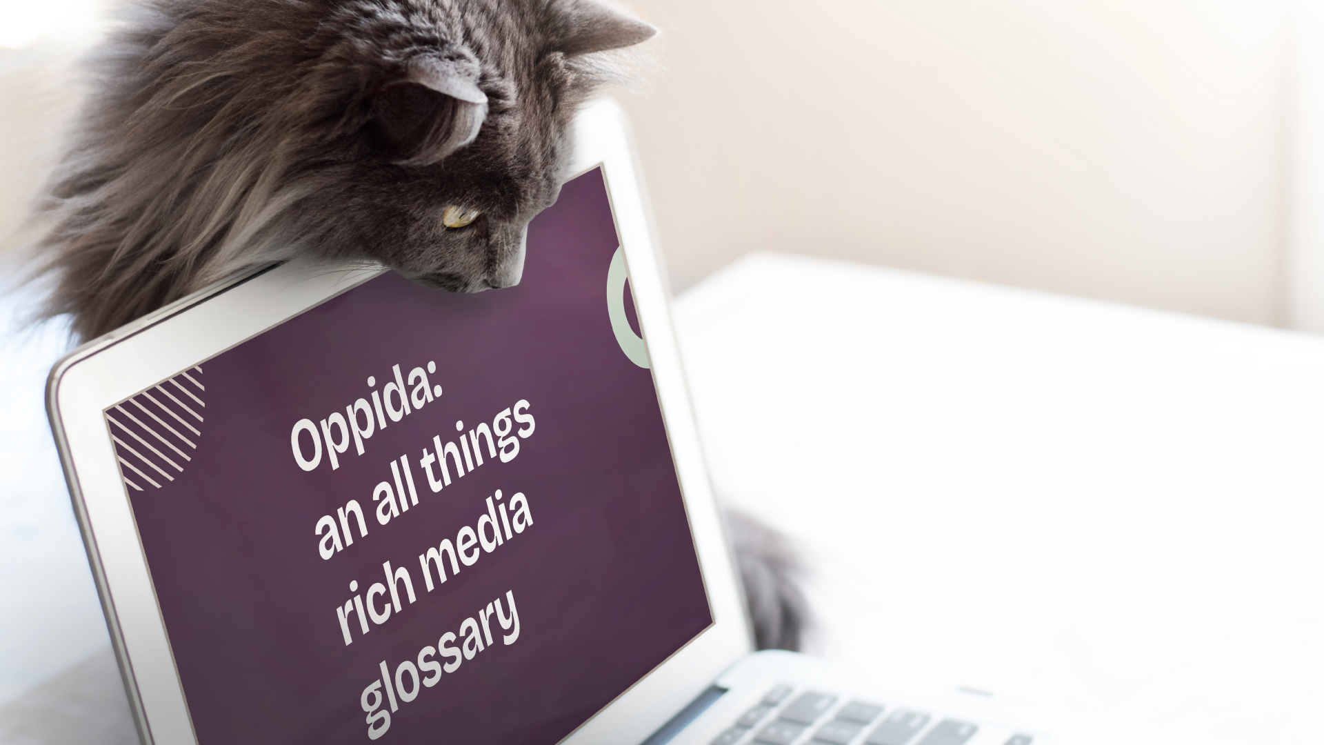 Oppida an all things rich media glossary