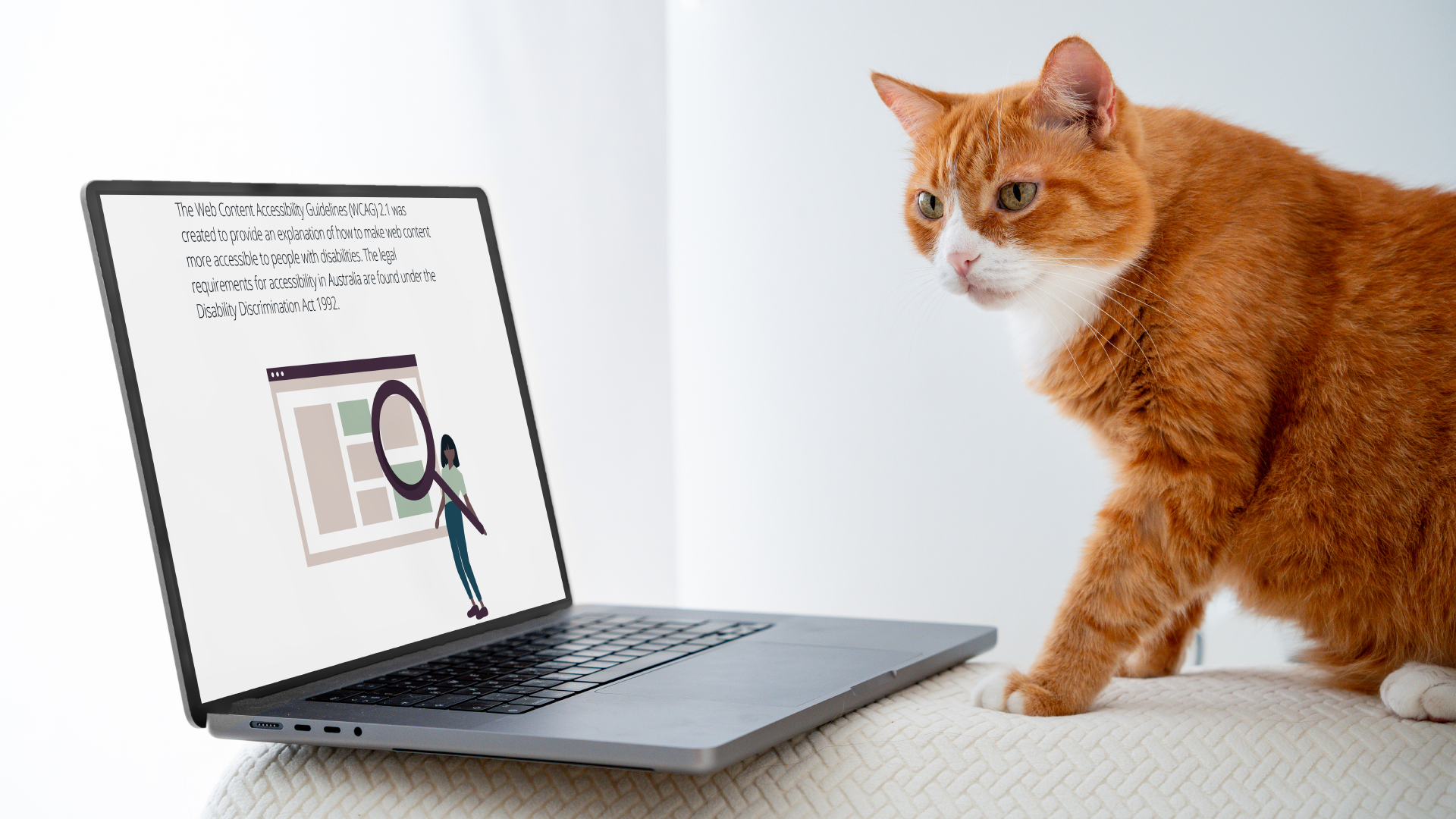Top 10 things to consider when designing for accessibility-1