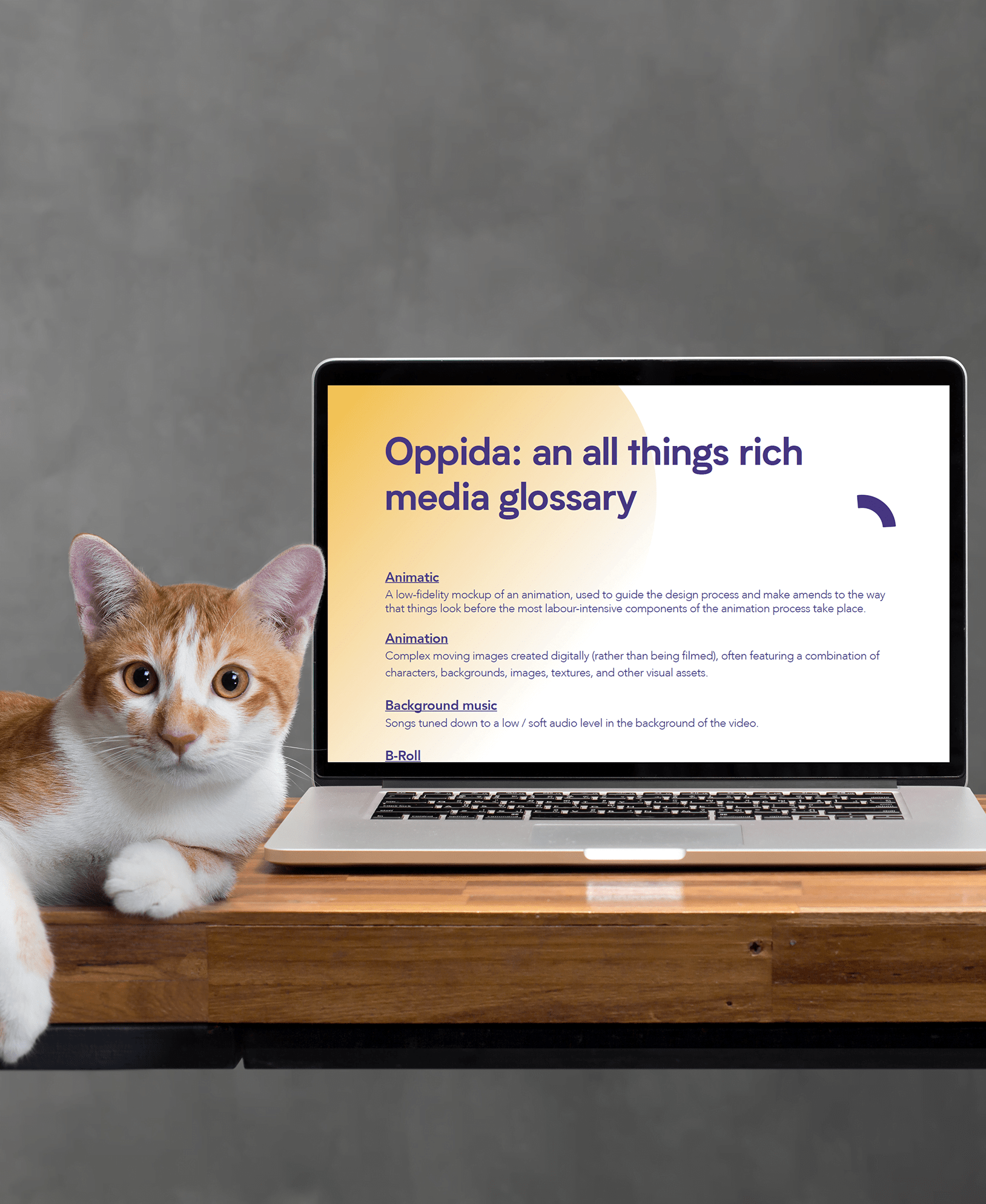 Oppida-an-all-things-rich-media-glossary